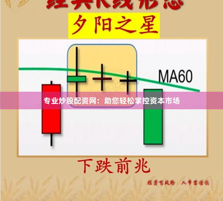 专业炒股配资网：助您轻松掌控资本市场