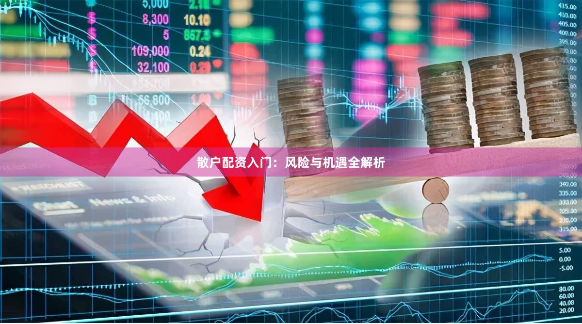 散户配资入门：风险与机遇全解析